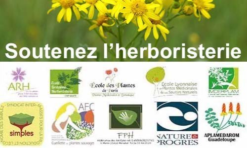 HERBES DE VIE, Thierry THEVENIN, paysan-herboriste